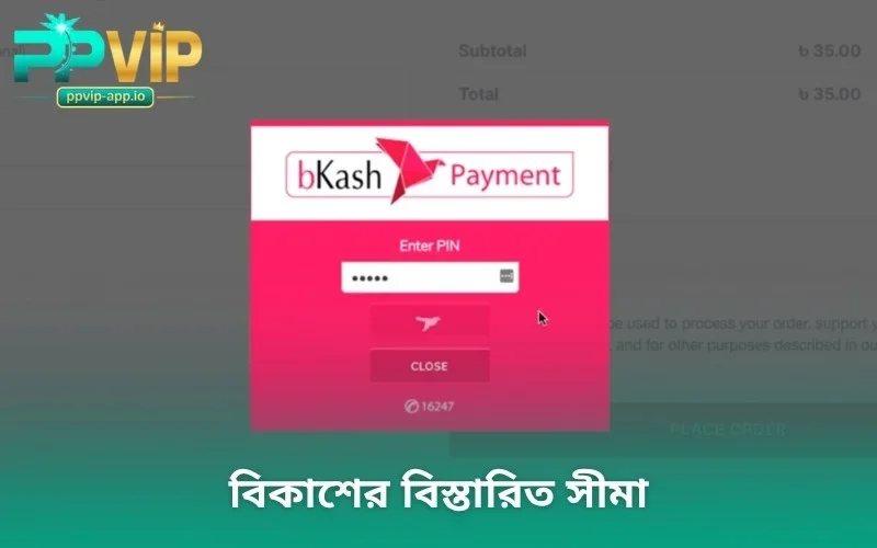 বিকাশের বিস্তারিত সীমা