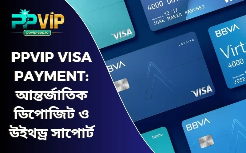 PPVIP VISA payment